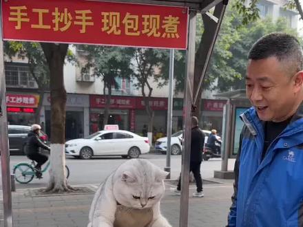 #AI街头馄饨摊的日常 #随变ai随便玩