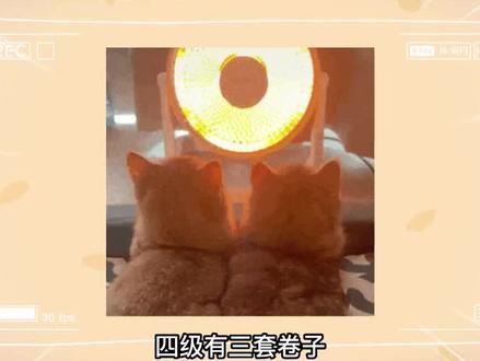 英语四级考试有三套卷子,抽到哪套更容易过?#大学生 #四六级 #英语四级 #闪过英语四六级 #英语六级
