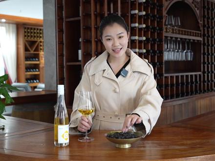 #涉县 君迁酒庄 小黑枣酿出“黄金酒” #这么近那么美周末到河北