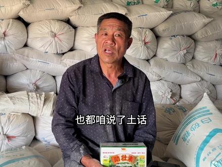 花生团棵期用助壮素,让花生多发杈、矮壮、墩实、多结果。简单的办法,花生助壮素,让你的花生高产。 #花生种植管理技术 #创作者中心 #创作灵感 #花生高产 #农业技术推广