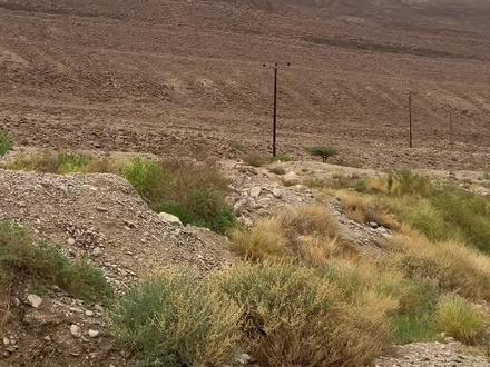 #导游来了 #全能导游 #跟着抖音去旅行 #导游成长计划 一生一次以色列,我这里随时等候着你。