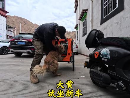 久病初愈整装待发,让大黄试坐新车,准备出发青海 #整装待发 #大黄 #出发青海 #长途骑行