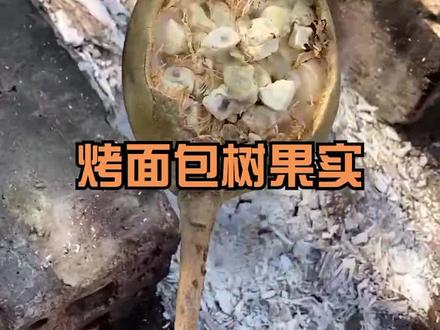 烤面包树果实真的很好吃😋#一无是处的寂寞#闯非洲小胖子