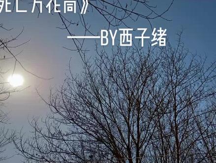 故事的开始是一个门神爱上了一个将死之人#死亡万花筒#阮南烛#林秋石