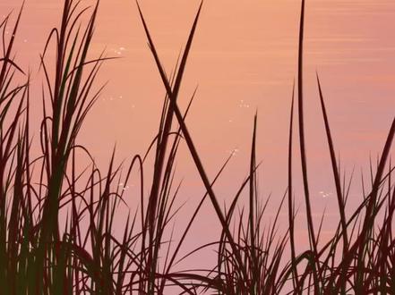 水面波光 华为天生会画超简单绘画过程分享
🖊非自带笔刷进主页粉丝群免费领取
素材参考摄影作品:🍠去宇宙旅行
#慢下来看世界 #天生会画 #零基础学画画 #绘画教程 #零基础学画画
