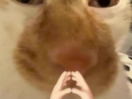 信你所信,爱你所爱 #陈飞宇