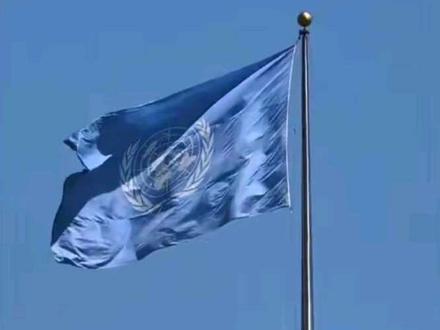 联合国:臣妾做不到啊 #伊朗 #美国 #联合国 #伊朗vs美国