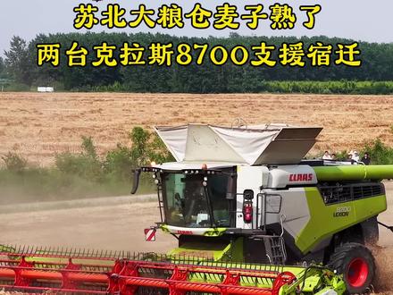 克拉斯8700收割机中的航母,一台500W,一天可以收1500亩!#大型联合收割机 #收麦子 #克拉斯 #农忙时节 #农业机械化时代