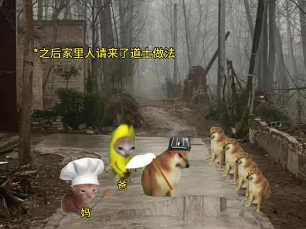《刀盾风波》第三集#抽象#猫meme#搞笑