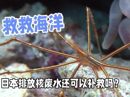 排放核废水后还可以补救吗? #环境污染 #核废水入海的后果 #核废水入海 #核废水排入太平洋