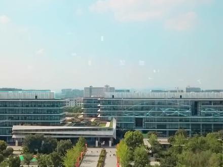 阿里巴巴1000亿投资的达摩院,究竟有多厉害?