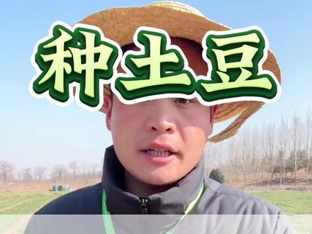 土豆用上土霉素,高产丰收挡不住#土豆种植#土豆施肥#土豆控旺#土豆高产