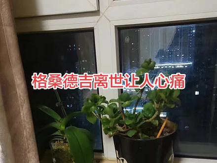 格桑德吉的离世让人心痛#格桑德吉