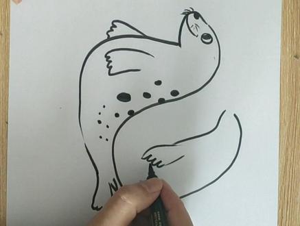 简笔画海洋生物8海豹海狮#海豹 #海狮 #简笔画 #亲子 #美术教学 #美术