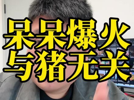 呆呆爆火,跟杀猪有多大关系? #呆呆 #认知思维 #商业思维 #上热门🔥上热门