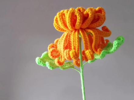 多层菊花编织教程,花瓣+花芯教程,落花无言,人淡如菊#5层菊花 #钩针编织教程 #多层菊花钩织教程