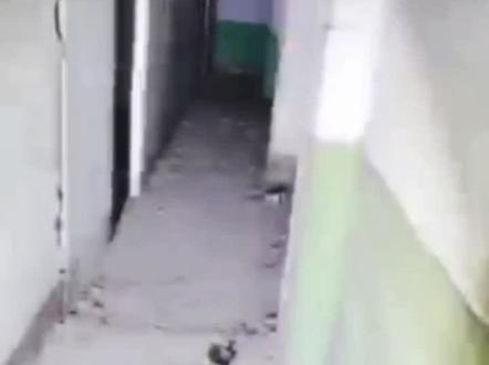 幻境太狠#胆小勿入#心脏病勿入#户外探险黑猫探长