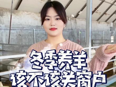 冬天天气寒冷,羊圈为了保暖到底应不应该关窗户?#农村养羊 #养羊技术 #养羊技术分享 #自繁自养 #农村创业养殖