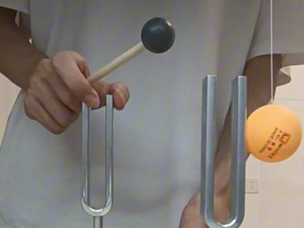 同频共振的人 是上天赐予的礼物#物理 #同频共振