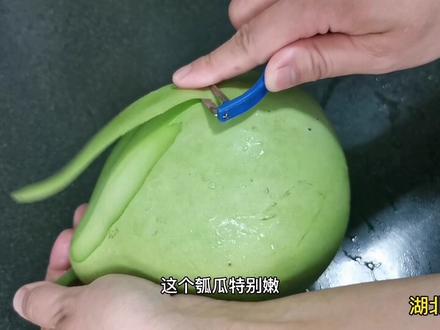 成本只要2元钱的菜,清炒瓠瓜,简单一炒,比吃肉都香,你吃过吗