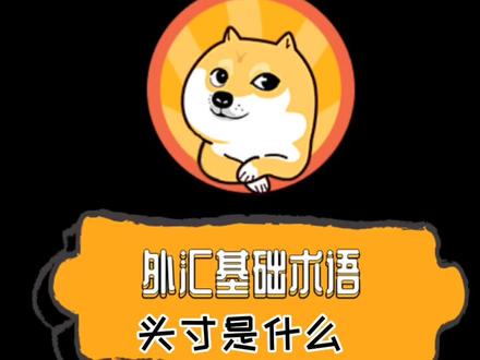 头寸是什么?#外汇 #外汇知识 #外汇黄金