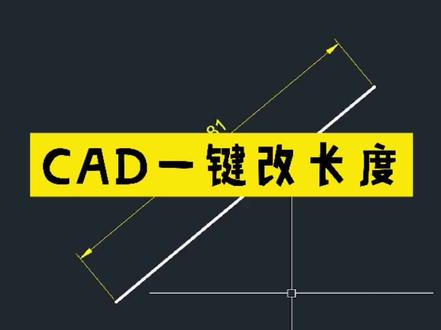 CAD资料修改直线长度!#cad教程 #cad讲堂 #cad