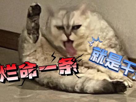 真好啊,又活了一天~ #钮祜禄安舒 #搞笑配音