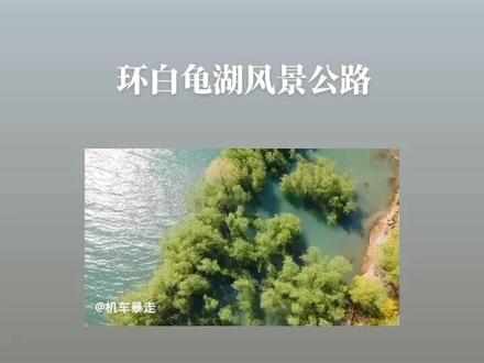 #一道美丽的风景线 环白龟湖风景公路#风景如画心旷神怡