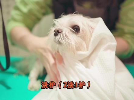 解封之后带我洗香香吧!想要给你香香的贴贴.