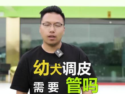 狗狗小时候调皮,需要管教吗?#宠物训练学校 #狗狗 #训犬 #幼犬 #萌宠