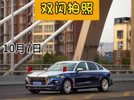 沈丘沙河大桥.#双闪侠#俊俊的拍车日记