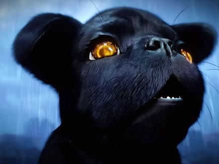 国漫第一将在下半年易主?七部爆款定档,三部主角都是疯子! #圣墟 #雪中悍刀行 #动漫编年史 #国漫作者团 #我在抖音看动漫