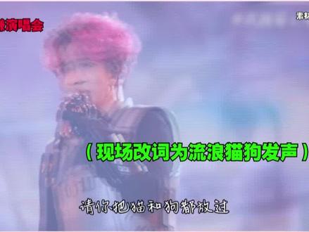 现场改词为流浪猫狗发声,多次站出来揭露黑幕,薛之谦到底有多优秀? #薛之谦 #演唱会 #娱乐评论大赏