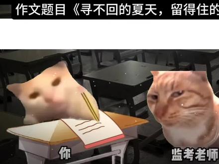 “寻不回的夏天,留得住的少年”
#文案 #暖心 #正能量 #作文 #成长