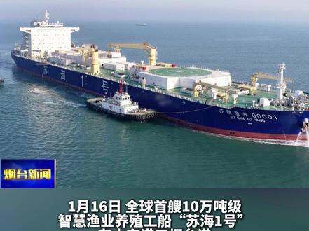 1月16日,全球首艘10万吨级智慧渔业养殖工船“苏海1号”在山东港口烟台港开展16万尾三文鱼苗的接装载作业,这是我国三文鱼陆海接力养殖单次转运量最大的一次作业。整个装卸过程预计为期四天,完成后,这批鱼苗将随“苏海1号”驶向适宜海域,开展游弋式养殖。