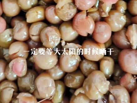 你们要的紫苏脆李的做法来了,文末有详细步骤的一定要看完#支持三农扶持三农发展 #感谢抖音平台助农为乐