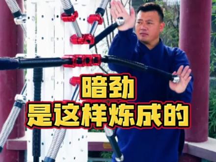 劲分为明劲和暗劲,这是暗劲训练方法#功夫 #居家健身有新招 #中国功夫