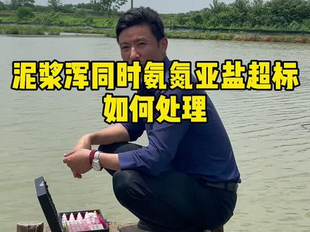 虾蟹养殖塘口,出现泥浆浑氨氮亚盐超标,如何正确处理#水产养殖 #螃蟹养殖#陈春永虾蟹养殖