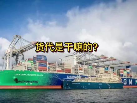 货代是干嘛的?#国际物流 #货代 #干货分享 #巨鲨鱼