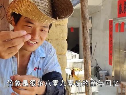 农村常见的笋虫,人称“竹象”,为什么现在越来越少了?