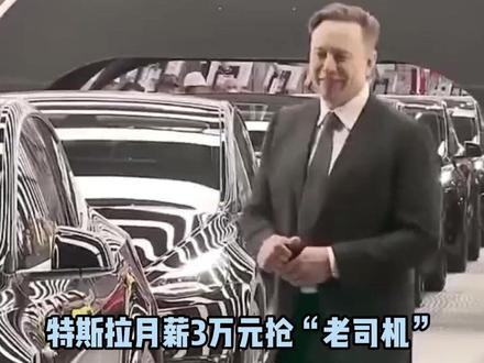 特斯拉高薪抢“老司机”,最高3万月薪急招智驾测试技师,工作内容就是开车满城跑,要求第一年内无事故、无违章(大象新闻)#特斯拉 #高薪 #马斯克
