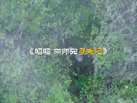 《昭昭 三师兄寻夫记》#包上恩#余嘉诚 #江湖夜雨十年灯