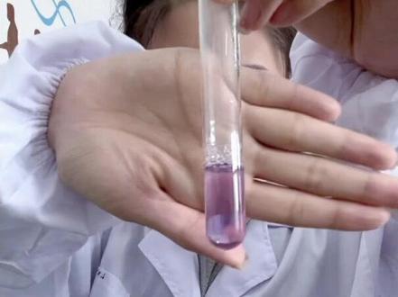 #高中 #教师 #教育工作者 #生物实验 都实验考察了吗?趁着还有材料再做一回,操作不太规范嘴下留情😂检测蛋白质