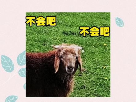 #晋江文学 不会真的有人用了晋江好几年,还不知道这些功能吧#小说