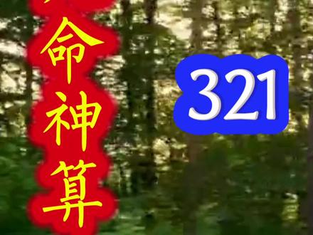 #优质的网络小说推荐