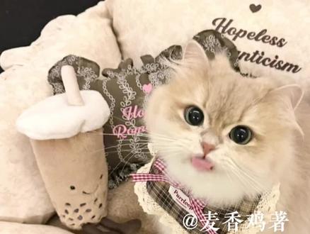 情人节快乐
#yynz #囚于永夜 #贺池 #温方 #麦香鸡呢
在@漫播 听