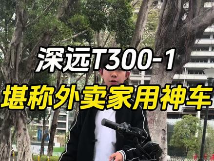 深远T300-1 堪称外卖家用神车
#深远T300 #广州电动车上牌 #新新国标电动车 #总有一款适合你