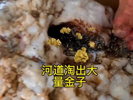 男子钓鱼时在河道的火石堆里淘洗出大量金豆子 #淘金