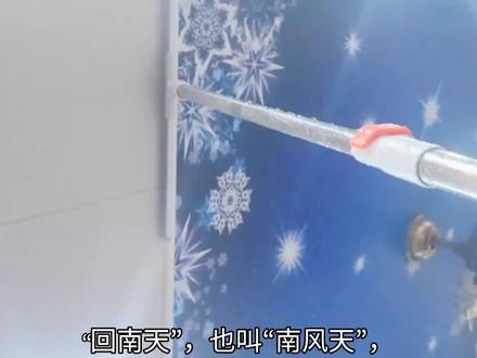 为什么南方会有南风天,身为南方人回南天是怎样形成的你知道吗! #回南天 #回南天气