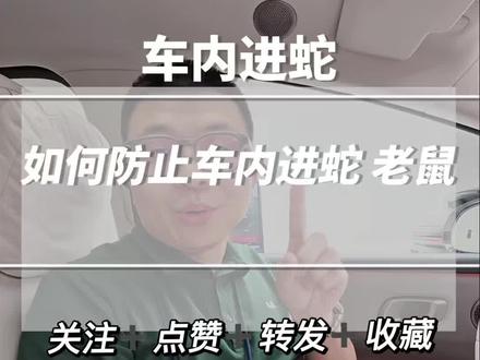 车内进蛇如何应对 车内进蛇如何应对|#理想汽车#理想汽车哈尔滨#王奇说理想